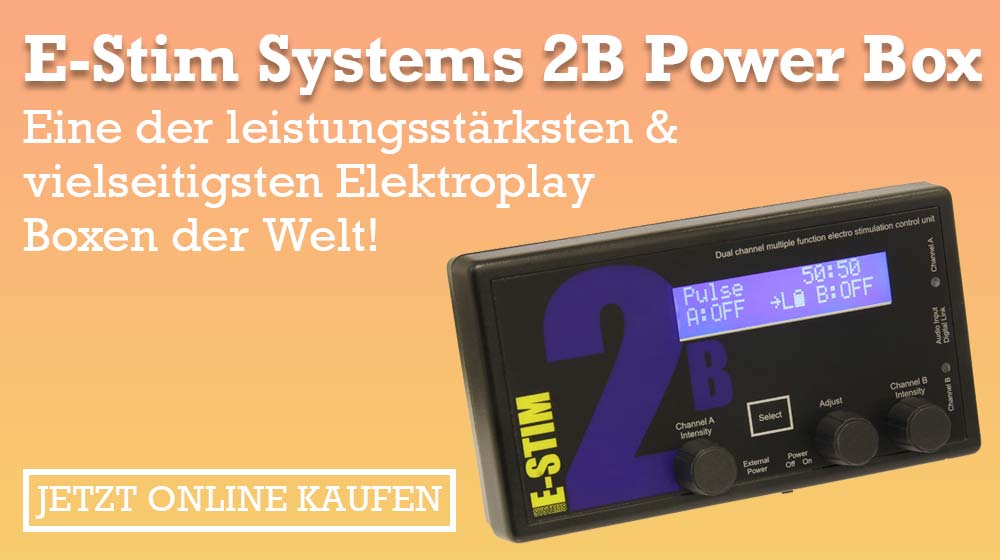 E-Stim Systems Series - 2B Power Box online kaufen!
